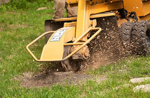 Stump Grinding Rutland - Tree Surgery Services